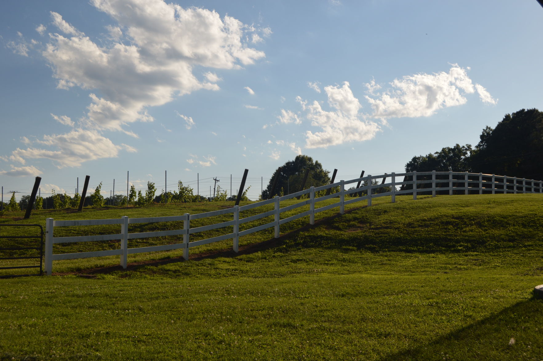 Hoppin 061419 (117).JPG